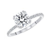 D&P Designs Eight Prong Solitaire Engagement Ring White Gold