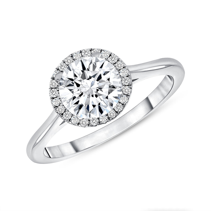 D&P Designs Single Halo Solid Band Engagement Ring Platinum