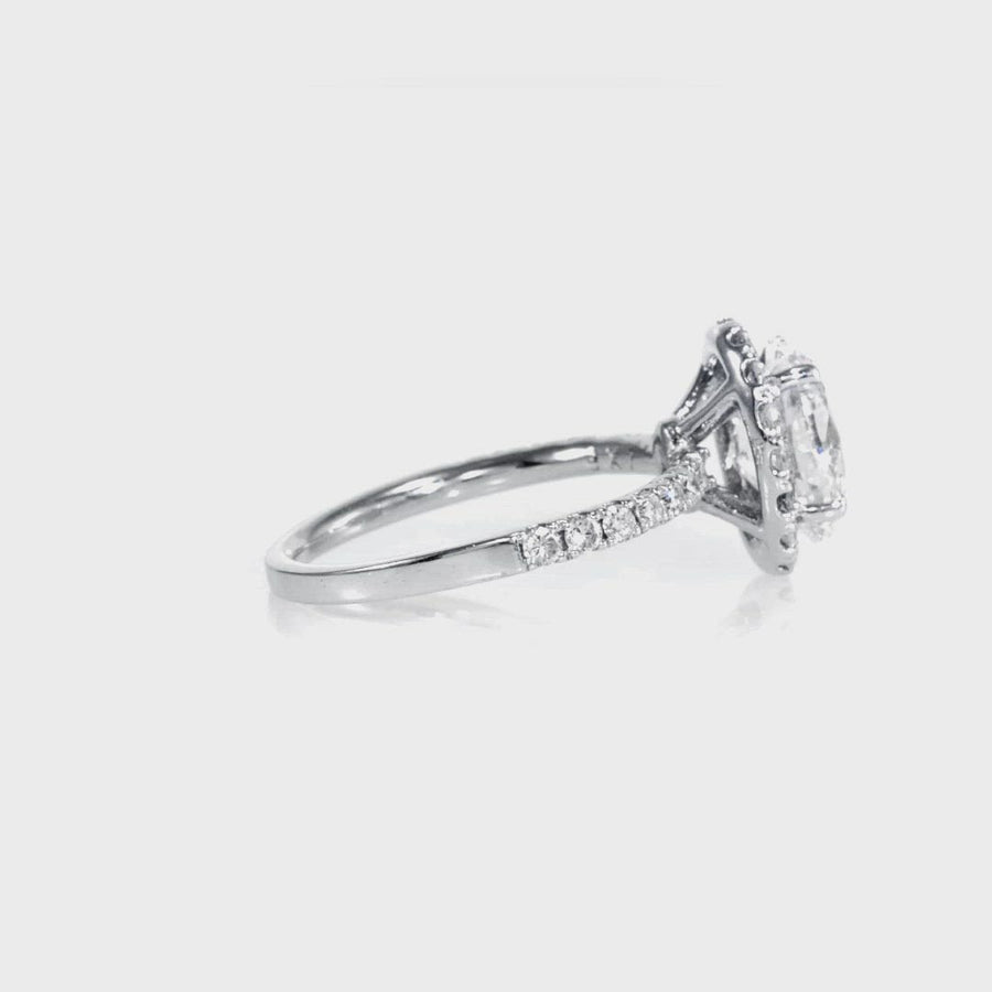 D&P Designs Single Halo Half Way Pave Engagement Ring White Gold